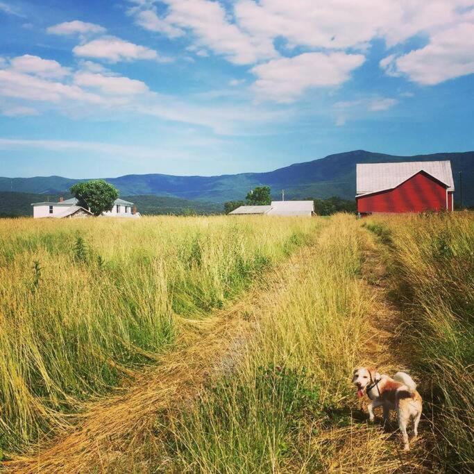 Villa Madeline Farms Luray Exterior foto